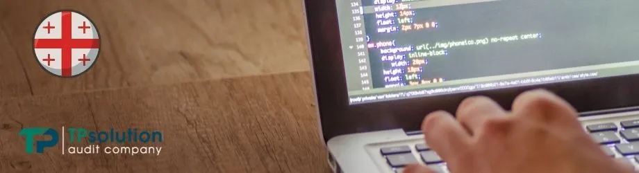 virtual zone status Georgia it companies