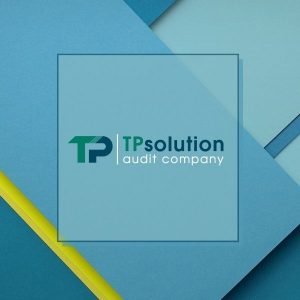 tpsolution audit compamy in georgia