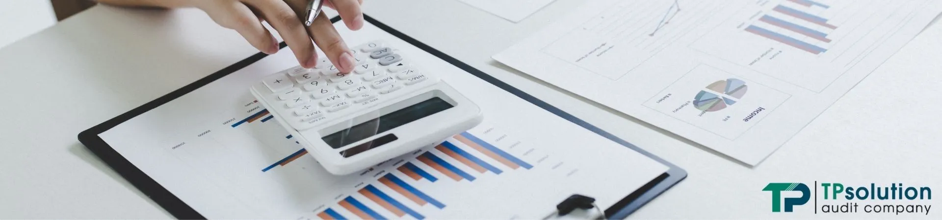 Consulting and accounting services for IT companies in Georgia