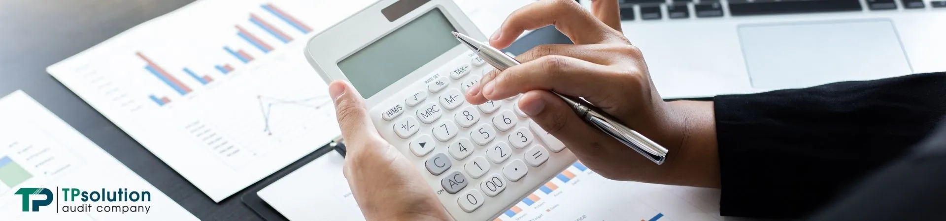 Wirtschaftsprüfungs- und Steuerberatungsgesellschaft in Georgien