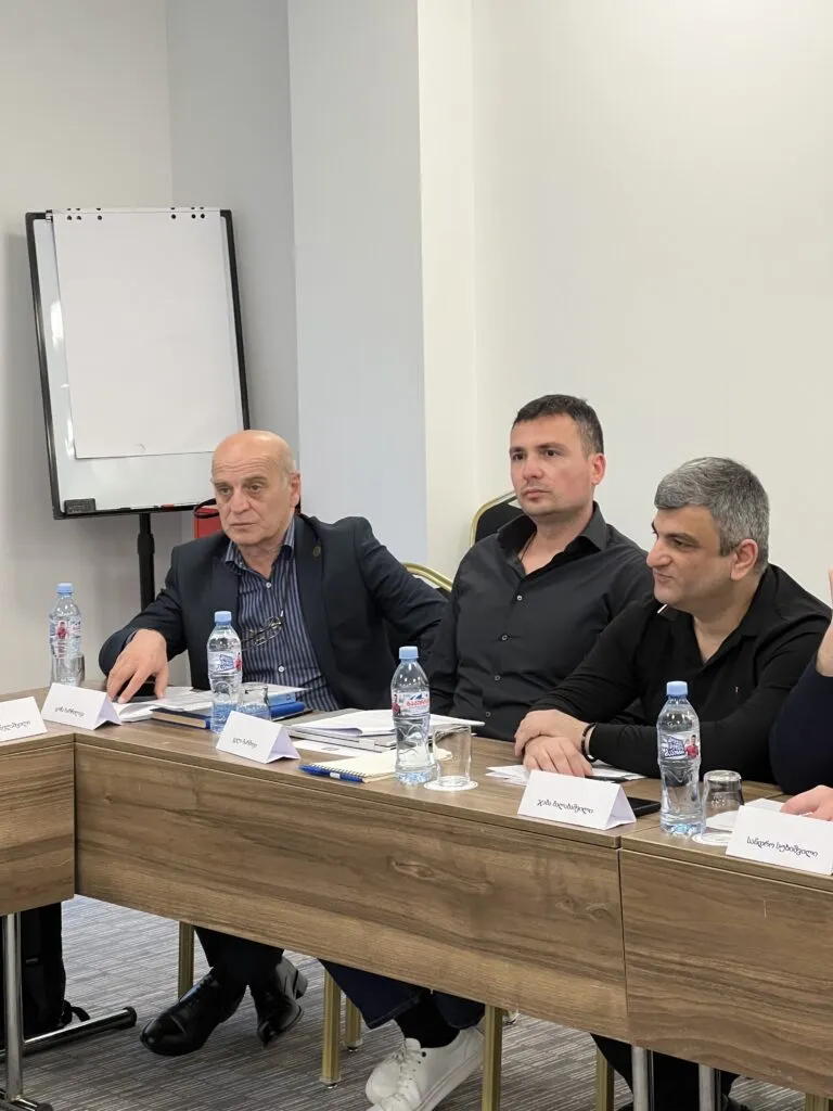 Participation in Tax Policy Discussions in Georgia: What It Means for Your Business