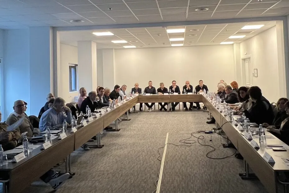 Participation in Tax Policy Discussions in Georgia: What It Means for Your Business